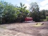 dcp09288